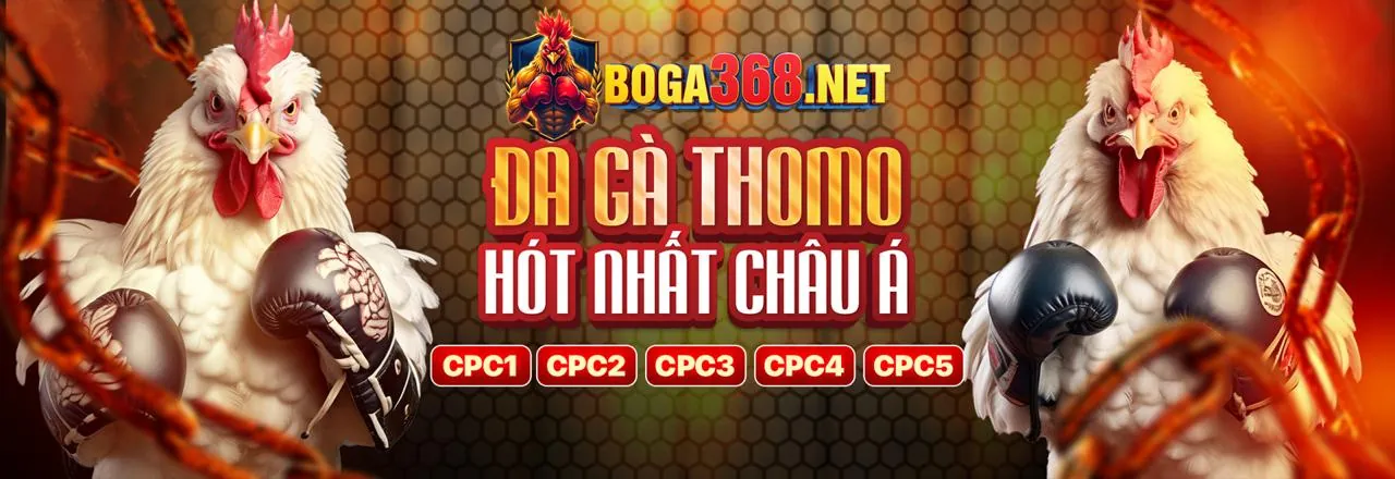 Game bài Baccarat tại 8live