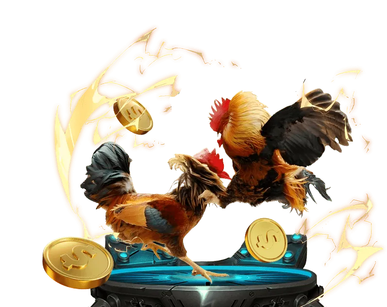 Giao diện đặt cược đá gà tại qh88 đăng nhập orbicule